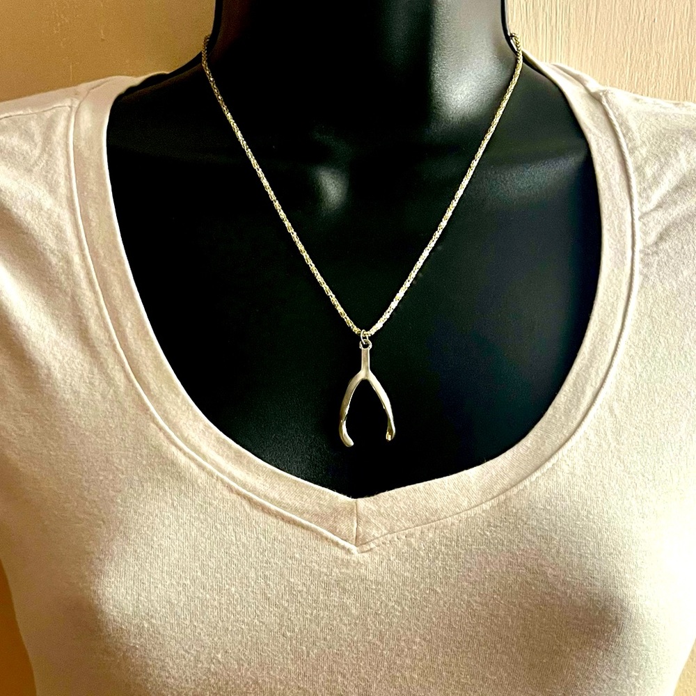 Silver Wishbone Shaped Necklace